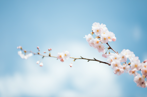 Breathe, It's Spring!