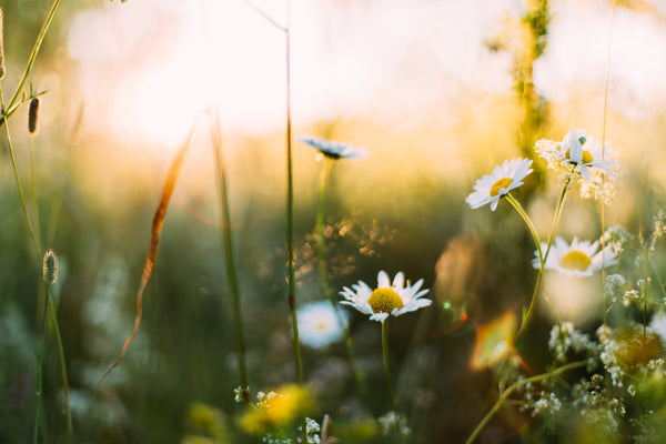 Your Toning Regimen for Spring