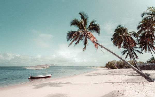 Summer 2020 Skincare Must-Haves